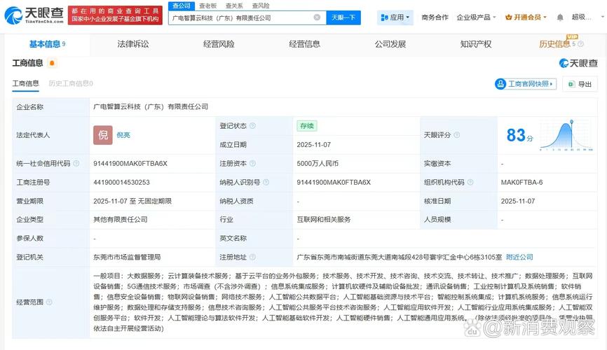 数字浪潮中的巨擘 探析注册资本五千万的大数据与云服务企业